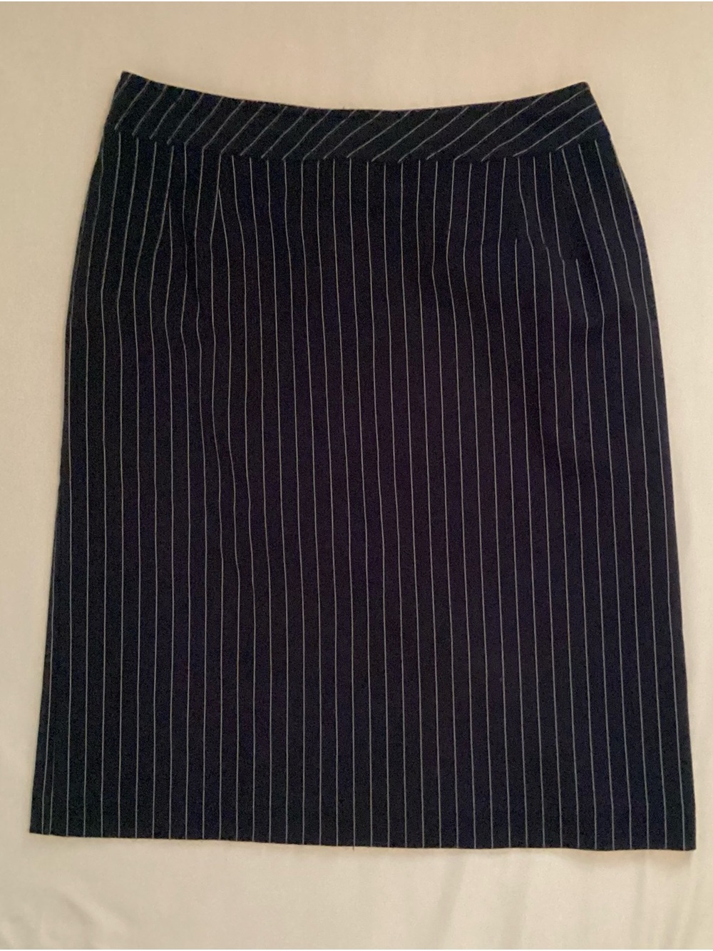 Michele Ladies Blue Pin Stripe Back Zip Skirt Size 10